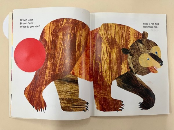 BrownBear_2.jpeg